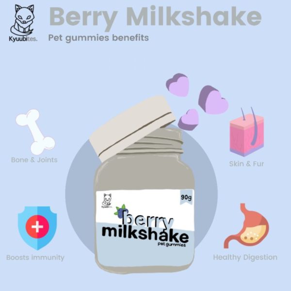 Berry Milkshake